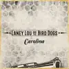 Carolina - Single album lyrics, reviews, download