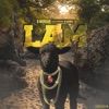 Lam (feat. O Banga) - Single