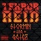 Stormin Tha Gatez - Terror Reid & Getter lyrics