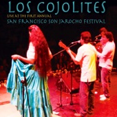 Live At The First Annual San Francisco Son Jarocho Festival artwork