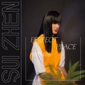 Perfect Place (Roza’s Smoke Machine Mix) artwork