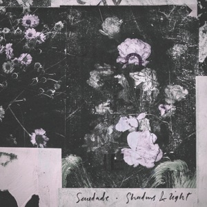 Shadows & Light (feat. Chelsea Wolfe & Chino Moreno) - Single