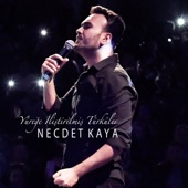 Yüreğe İliştirilmiş Türküler - EP artwork