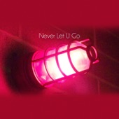 Never Let U Go (feat. Kamelia) artwork