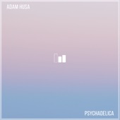 Adam Husa - Psychadelica