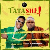 Tatashe (feat. Lyta & Bobby Jazx) artwork
