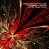The Gunas of Nature: Fundamental Forces (Sattva, Rajas, Tamas) album lyrics, reviews, download