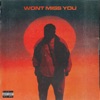 Won't Miss You - Single