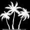 Palm Trees - Beats by MOD lyrics