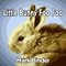 Little Bunny Foo Foo - Mark Binder lyrics