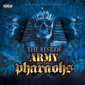 Jedi Mind Tricks Presents the Best of Army of the Pharaohs artwork