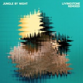 The Livingstone (Remix) - EP artwork