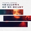 Shallows of My Heart - Single