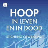 Hoop in Leven en in Dood (feat. Reni, Elisa, LEV, Heartbeat Worship, Glenn, José, Pearl Jozefzoon, InSalvation, DoorBrekers Worship, Eline Bakker & Mozaiek Worship) artwork