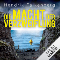 Hendrik Falkenberg - Die Macht der Verzweiflung: Hannes Niehaus 9 artwork