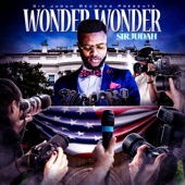 Wonder Wonder artwork