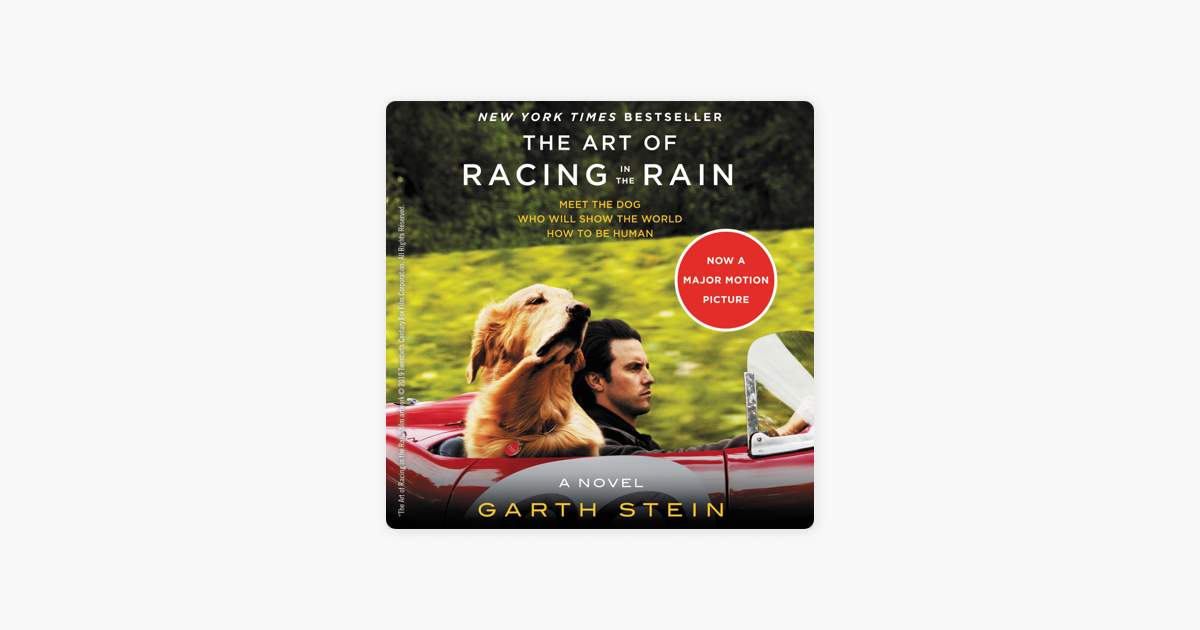 The Art of Racing in the Rain - Garth Stein The Art of Racing in the Rain - Garth Stein