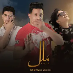 Malal (feat. Samer & Nour el Tot) Song Lyrics