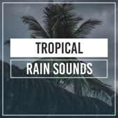 Rain Sounds - White Noise Background (Original Mix)