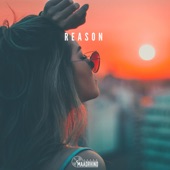 Reason artwork