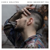 Wish I Never Met You artwork