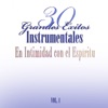 30 Grandes Éxitos Instrumentales Vol.1