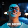 Bine Indispus - Single