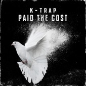Paid The Cost artwork