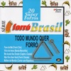 Série Forró Brasil: 20 Super Forrós - Todo Mundo Quer Forró