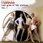 Pebbles: Lost Gems of the 60s, Vol. 4