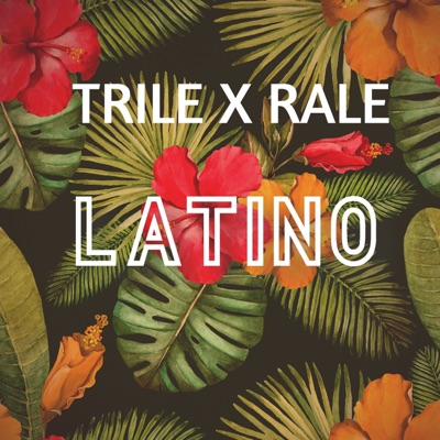 Beli Sneg Trile Shazam