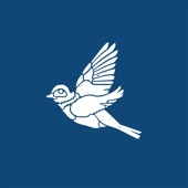 Bluebird artwork