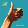 Okay (Nu Disco Flip) - Single album lyrics, reviews, download