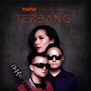 Terbang (2019 Version) - Single