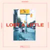 Lost a Little (feat. The Naked Eye, Emmavie, Marie Dahlstrom, Emily C. Browning & Dani Murcia) - Single album lyrics, reviews, download
