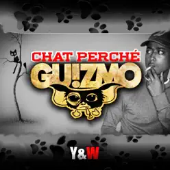 Chat perché - Single - Guizmo Chat perché - Single - Guizmo