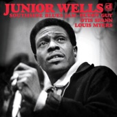 Junior Wells - Love My Baby