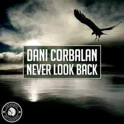 Never Look Back (Radio Edit) Song Lyrics