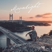 Moonlight artwork