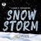 Snowstorm (feat. Scoutmadethis) - SJ Beatz lyrics