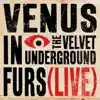 Venus In Furs (Live) - Single album lyrics, reviews, download