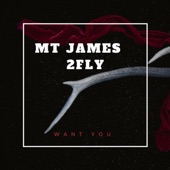 Want You (feat. Mt James) artwork