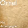 Mal Accompagné Mal Accompagné