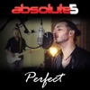 Perfect - Single