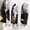 LIVE: Only In America - RADIO IIII