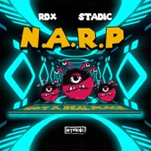 N.A.R.P artwork