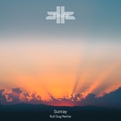 Sunray (Ruf Dug Remix) artwork