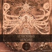 Abundance (feat. Nasiri) [AVEM Remix] artwork