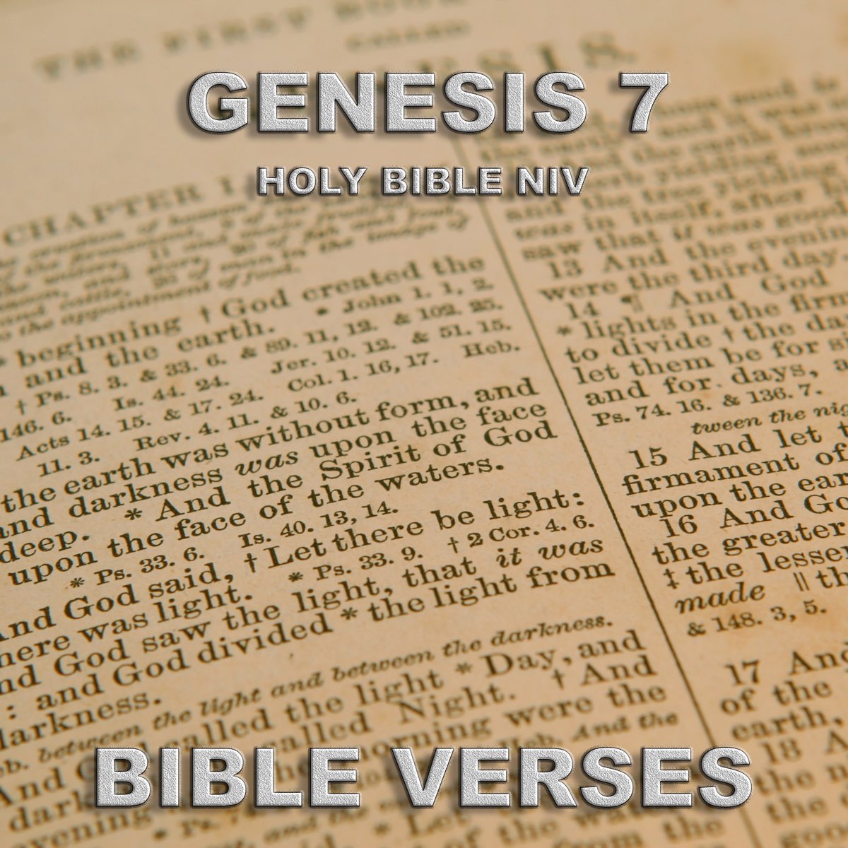 ‎Holy Bible Niv Genesis 7 - Single by Bible Verses on Apple Music