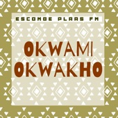 Okwami Okwakho artwork